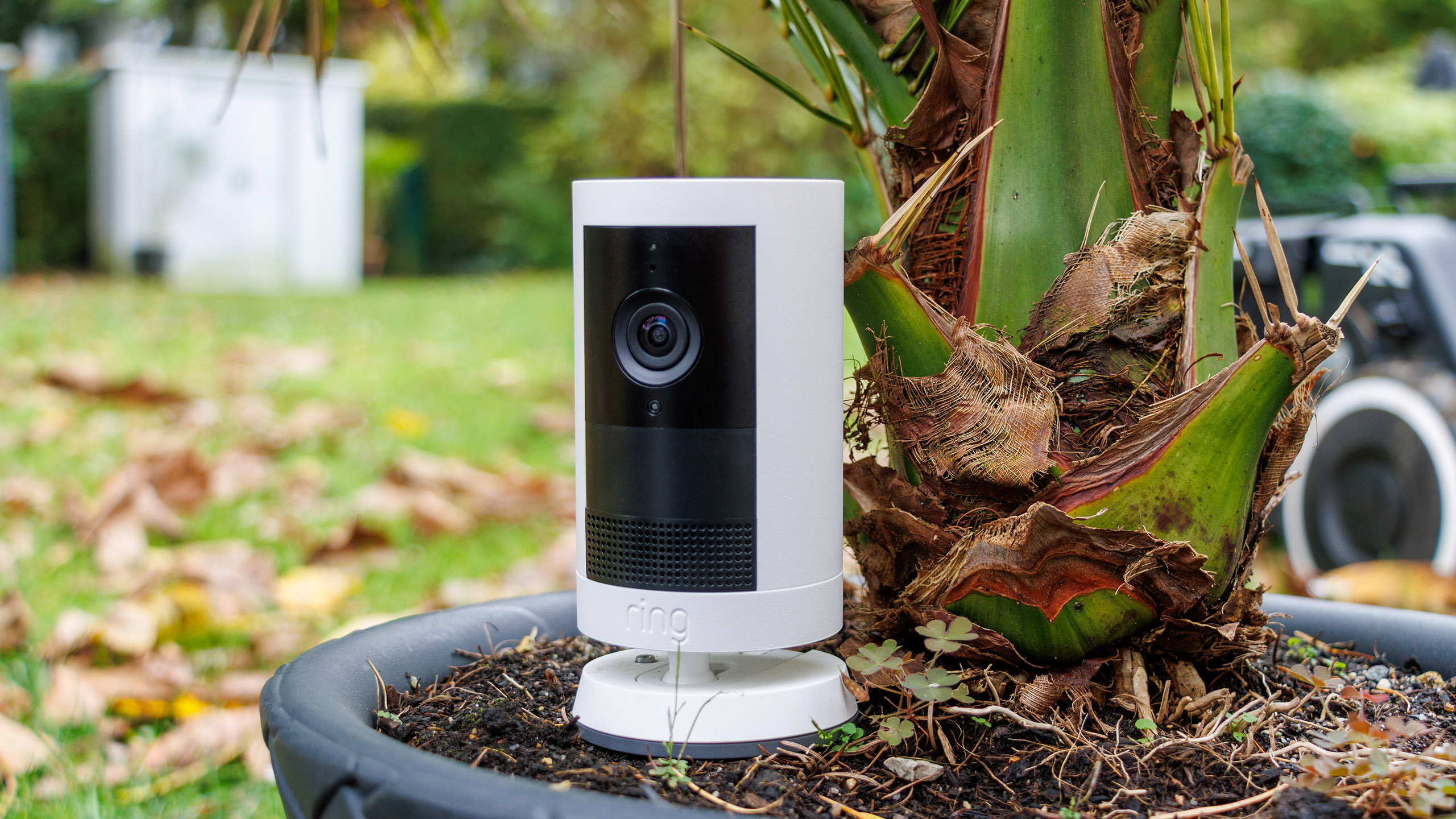 (图片来源:丹尼尔-施密特)