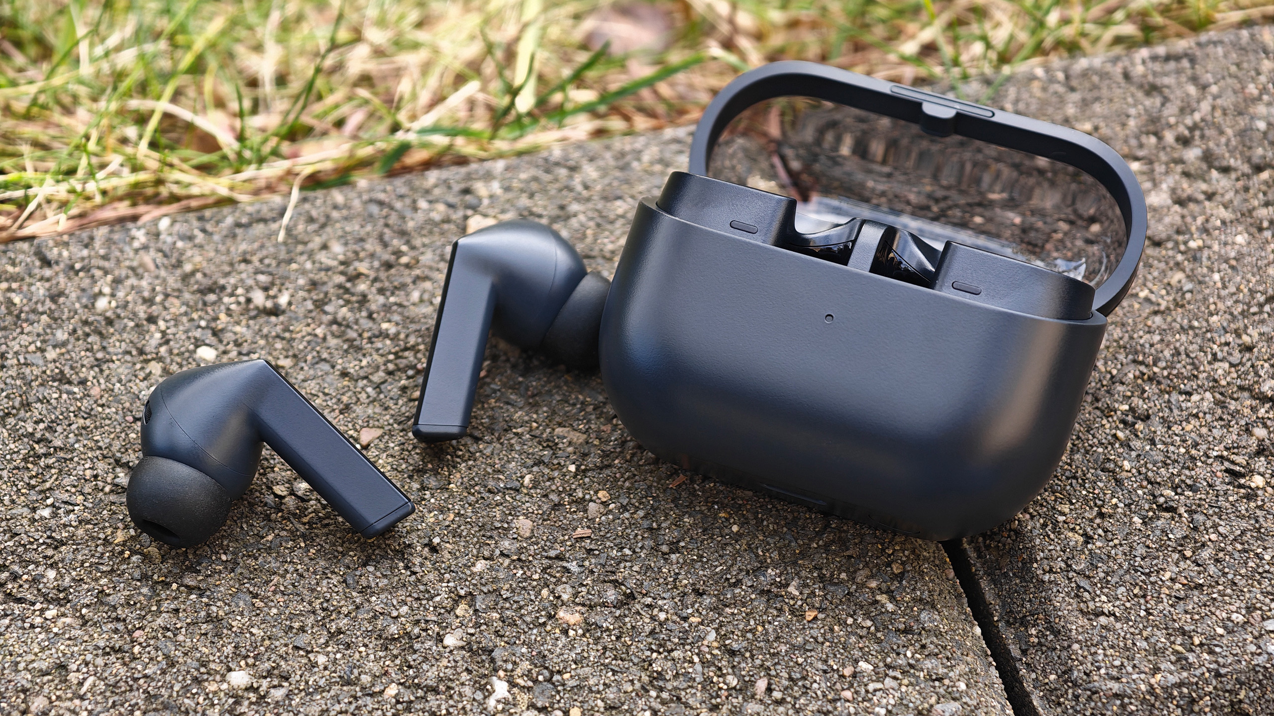 (图片来源:丹尼尔-施密特)