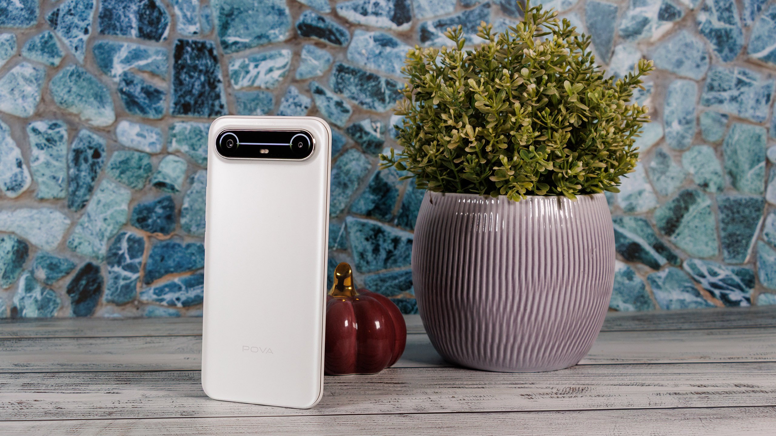 (图片来源:丹尼尔-施密特)