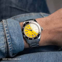 Tuseno Shellback V2 搭载 Sellita SW200-1 自动机芯（图片来源：Tuseno）