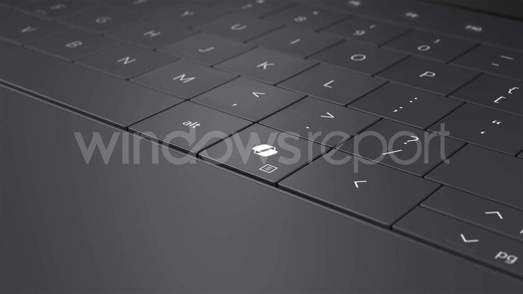 (图片来源：Windows Report）
