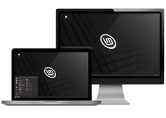 Linux Mint 是开始进入 Linux 世界的好方法。(图片来源：Linux Mint）