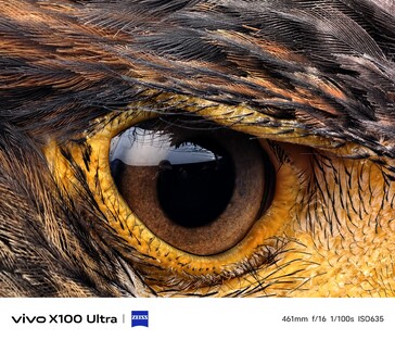 (图片来源：vivo）