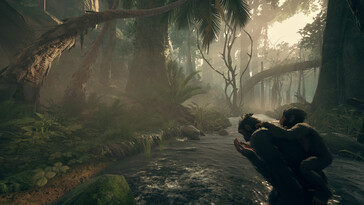 一张显示《祖先》中森林的图片：人类奥德赛