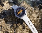 Descent Mk3 和 Mk3i（如图）潜水计算机的系统软件 22.07 已经发布。(图片来源：Garmin）