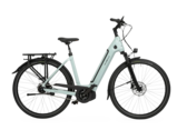 Velo de Ville 2024 AEB 990 电动自行车可进行多种定制。(图片来源：Velo de Ville）