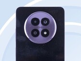 可能是 Realme 13 的大头照。(图片来源：TENAA）