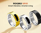 Rogbid SR10 的折扣价为 99.99 美元（图片来源：Rogbid）