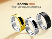 Rogbid SR10 的折扣价为 99.99 美元（图片来源：Rogbid）