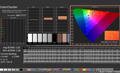 CalMAN: ColorChecker (已校准)