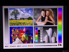 宽广的 OLED 视角