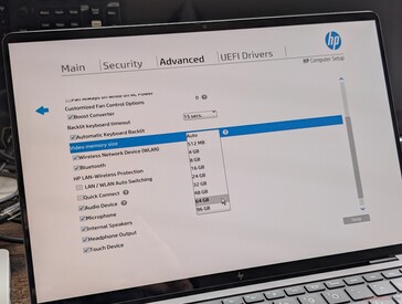 GPU 可选容量高达 96 GB。惠普警告说，"过大的显存容量 "可能会影响系统的整体性能
