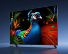 非Supreme品牌的TV S Pro 2027 RGB Mini LED系列电视最大屏幕尺寸为98英寸。图为该系列电视的一张宣传图片。