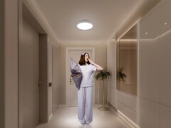 小米智能吸顶灯 D20。(图片来源:小米)