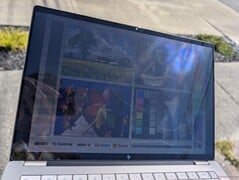 在户外，沐浴在阳光下