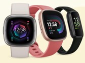 谷歌已经开始精简Fitbit应用程序，以期在以后的日子里增加更多的功能。(图片来源：Fitbit)
