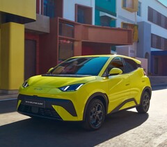 电动车比亚迪海豚冲浪（图片来源：比亚迪）