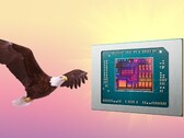 AMD Bald Eagle Point 如果不被取消,将于明年发布。(图片来源:AMD、FlashBuddy,经编辑)