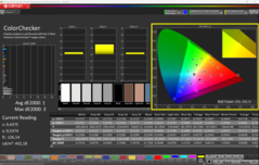 CalMAN ColorChecker (P3)