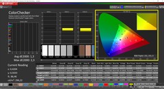 CalMAN ColorChecker 已校准