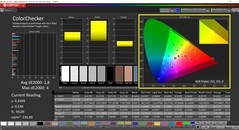 CalMAN ColorChecker（配置文件：本地）。