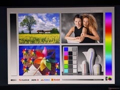 宽广的 OLED 视角