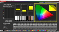 CalMAN ColorChecker（配置文件：P3，目标色彩空间：P3）
