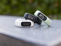 Garmin 发布了 Vivosmart 5 的新固件更新。(图片来源:Garmin)