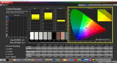 CalMAN ColorChecker（配置文件：原生，目标色彩空间：P3）