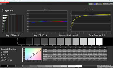 灰度（真实色调：关闭，目标色彩空间：sRGB）
