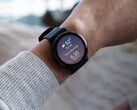 测试版 14.05 可用于 Garmin Venu 3（上图）和 vivoactive 5 智能手表。(图片来源：Garmin）