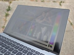 在明亮的阴天下的户外