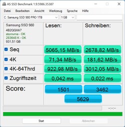 在AS SSD中，980 Pro的得分低于平均水平。