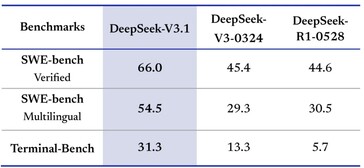 DeepSeek-V3.1 具有更强的编码能力，程序员们一定会喜欢。(图片来源：DeepSeek）