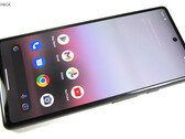 部分谷歌 Pixel 6a 用户在最新软件更新后出现大量问题（图片来源：Notebookcheck）