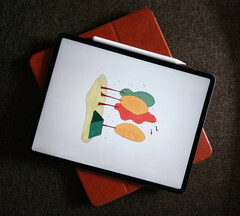 Apple 似乎在为下一代 iPad 发布 iPadOS 17.5 打基础（图片来源：Tony Sebastian）