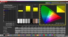 CalMAN ColorChecker 已校准