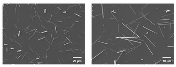 视网膜植入物中碲纳米线的扫描电子显微镜图像。(图片来源：Science. DOI: 10.1126/science.adu2987)