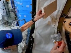 科学 YouTuber 史蒂夫-穆德（Steve Mould）在宇航员唐-佩蒂特（Don Pettit）的帮助下，在国际空间站上重新审视了他发现的链式喷泉效应。(图片来源：Steven Mould）