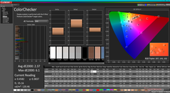 ColorChecker (相对于P3)