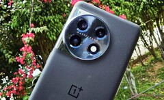 在OnePlus 12之前，OnePlus 11仍将是该公司唯一的旗舰产品，前者如图。(图片来源：NotebookCheck)