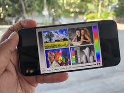 树荫下的户外观景