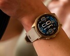 Garmin Fenix 8 AMOLED 智能手表(如图)的用户指出了亮度问题。(图片来源:Garmin)