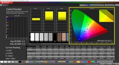 CalMAN ColorChecker 已校准（目标色彩空间 P3）