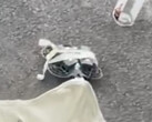 正在进行公开测试的 DJI Neo 2。(图片来源：Igor Bogdanov - 已编辑）