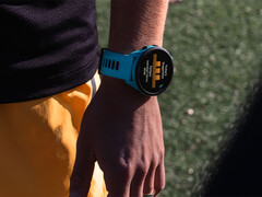 Garmin 在经过短暂的暂停之后，又重新启动了先行者测试计划，以解决在最近的版本中导致系统崩溃的错误。(图片来源：Garmin）