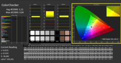 CalMAN: ColorChecker (已校准)