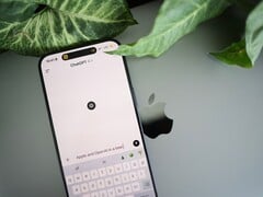 一部智能手机上打开了ChatGPT应用，正放在笔记本电脑上，旁边是植物的叶子