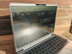 阳光下的户外观赏