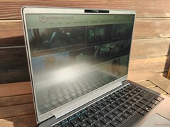 阳光下的户外观赏